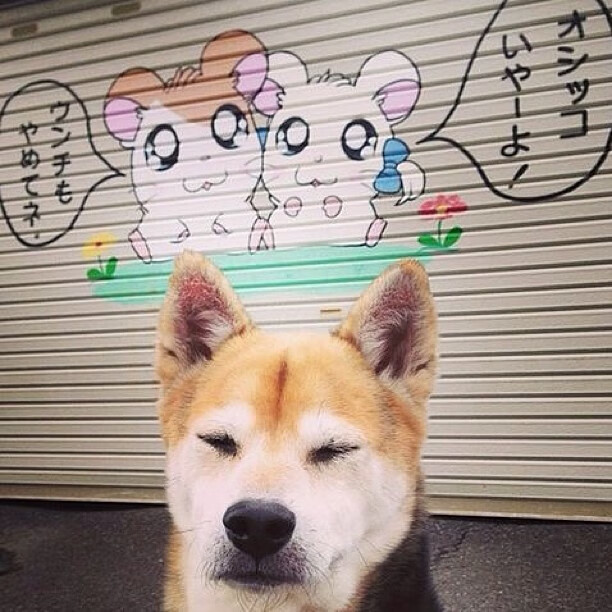 青训中心开设暑期封闭营强化集中训练体系，青训训练营是什么