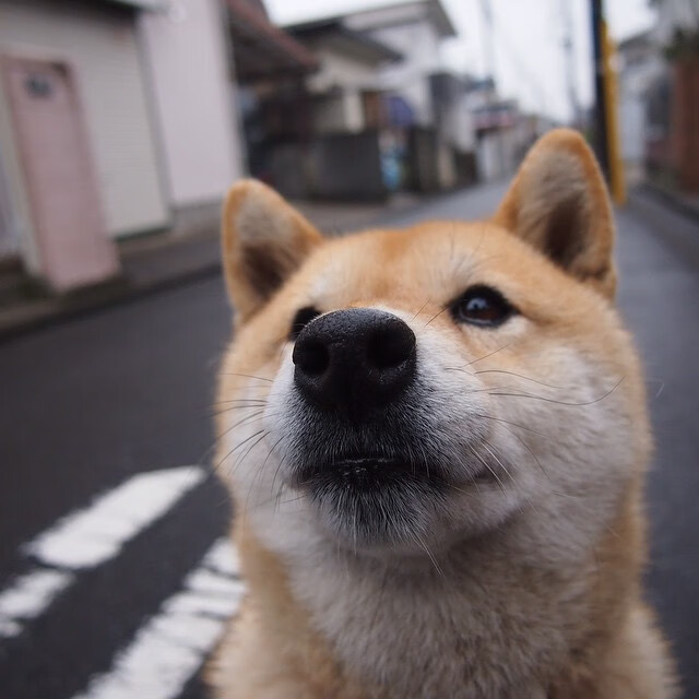 Leyu Sport登录入口-Conway 称新秀“天生为大赛”，自信满满